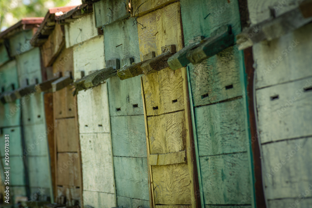 Homemade wooden multi-colored hives Homemade wooden multi-colored hives