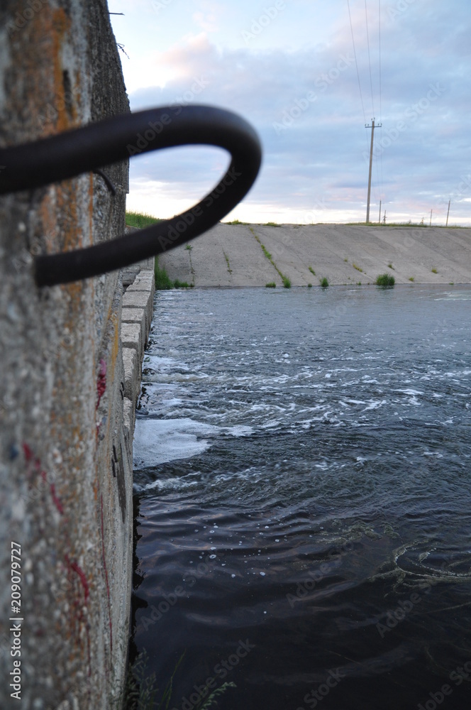 Fototapeta premium гуси