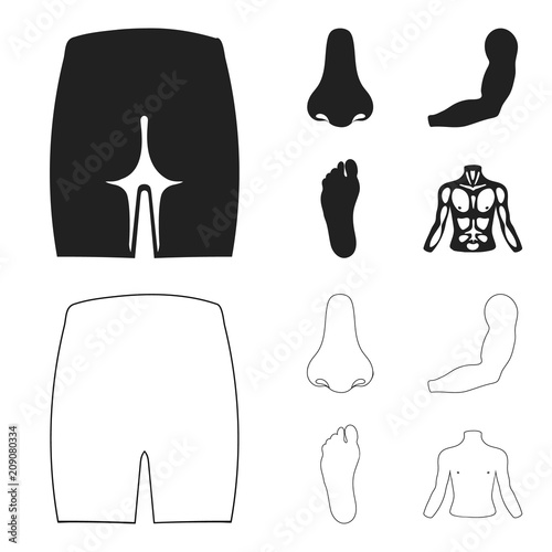 Buttocks, nose, arm, foot. Part of the body set collection icons in black,outline style vector symbol stock illustration web.