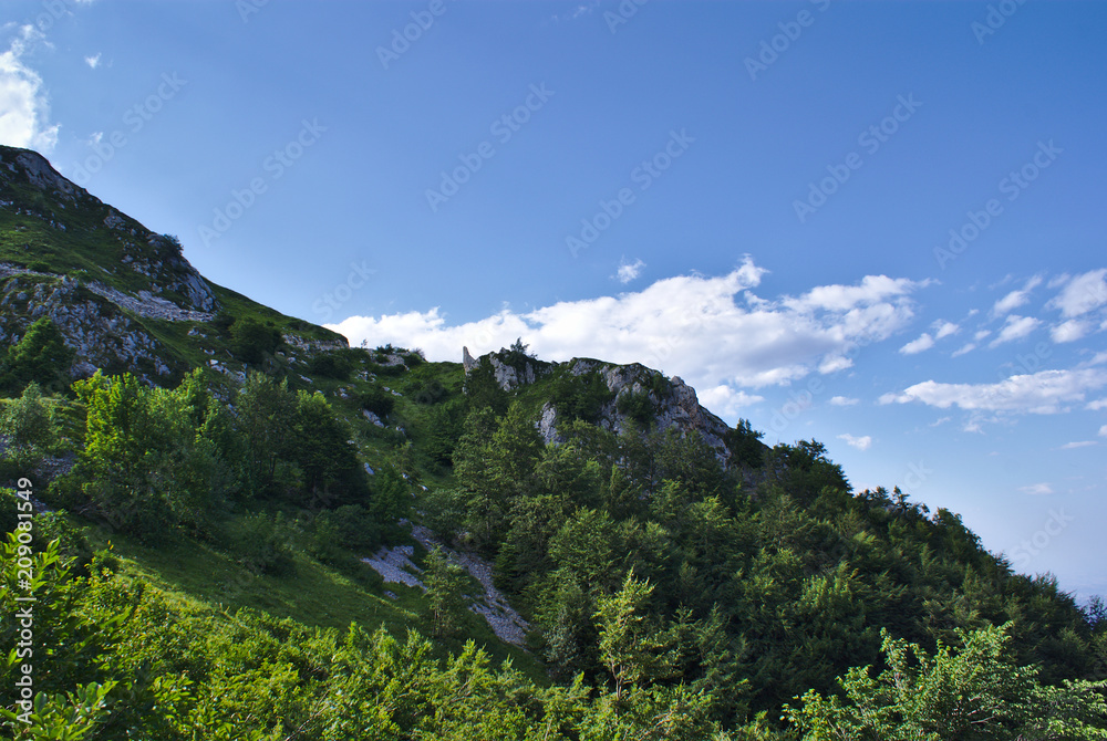 Rocce e alberi sulle montagne Abruzzesi