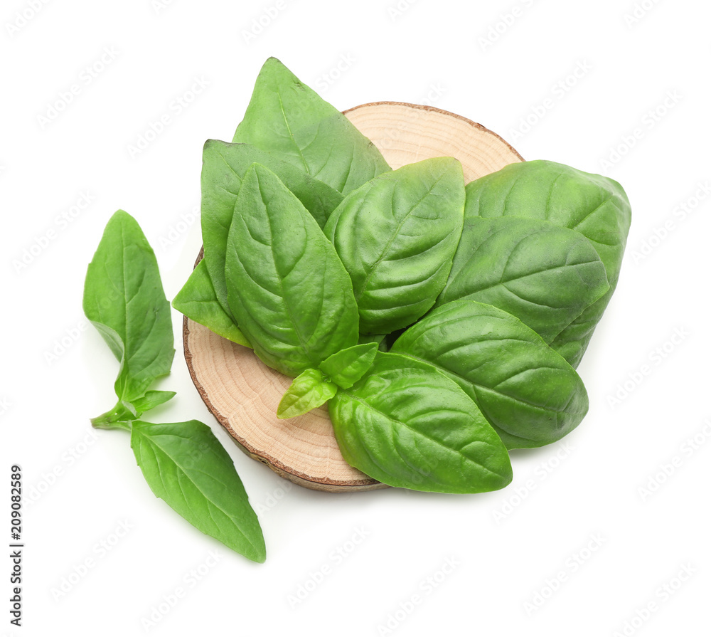 Wooden stand with fresh basil on white background Wooden stand with fresh basil on white background