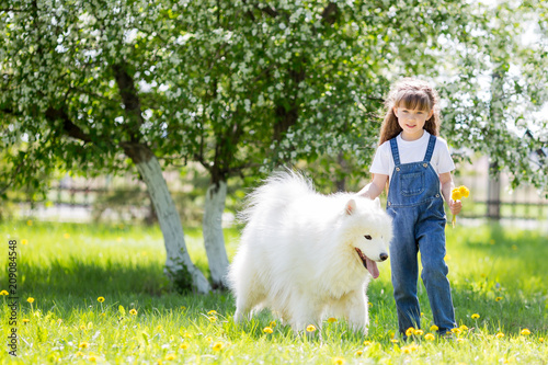 Little girl with a big white dog in the park. A beautiful 5 year old girl in jeans hugs her favorite dog during a summer walk.