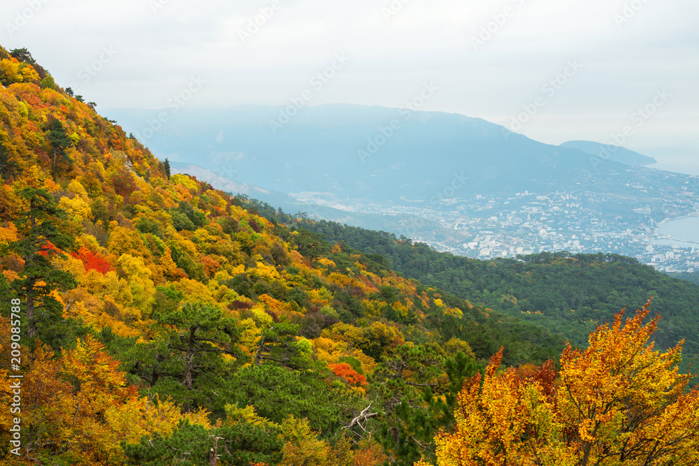 Colorful autumn forest on Crimean peninsula