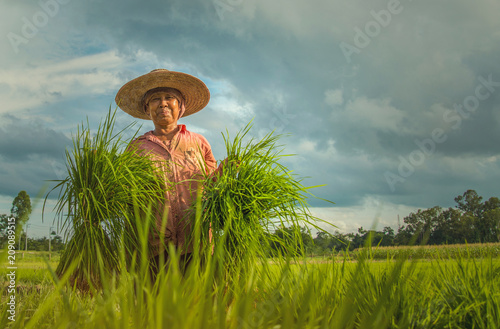Smiles of farmers in Thailand