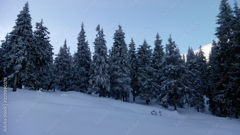 Obraz premium Mount Hoverla Ukrainian