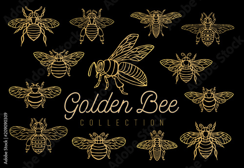 Honey bee bumblebees wasps set sketch style collection insert wings emblem symbols Hand drawn vector engraving illustration