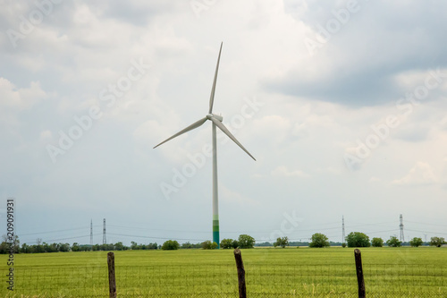 Canvas Print Wind Turbines in a Rape Field