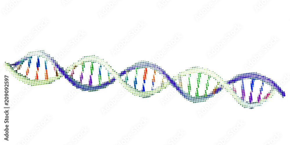 Abstract DNA spiral. Isolated on white background. Vector illustration.