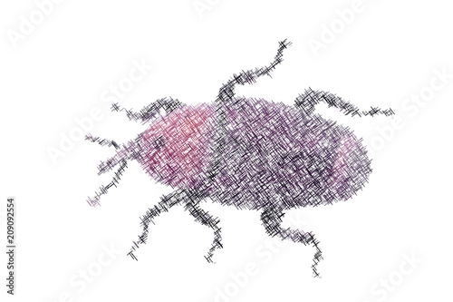 Weevil. Isolated on white b...