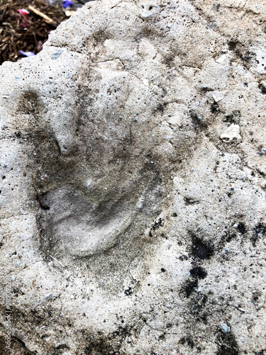 Print of hand on concrete. Handprint close up shot