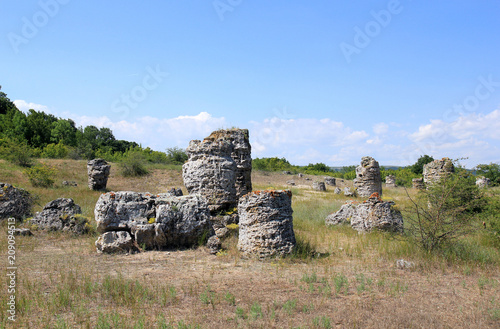 Полупустынный ландшафт в местности 