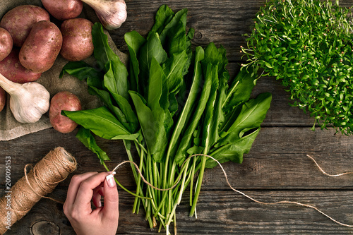 Woman hands holding fresh organic spinach leaves. Vegetables  onion  garlic  potatoes  spinach  lettuce leaves on wooden background