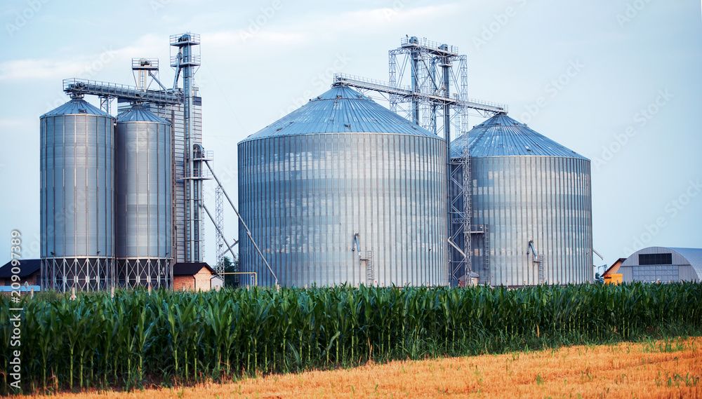 Silos for storing grain harvest. Concept of agriculture and industry Silos for storing grain harvest. Concept of agriculture and industry