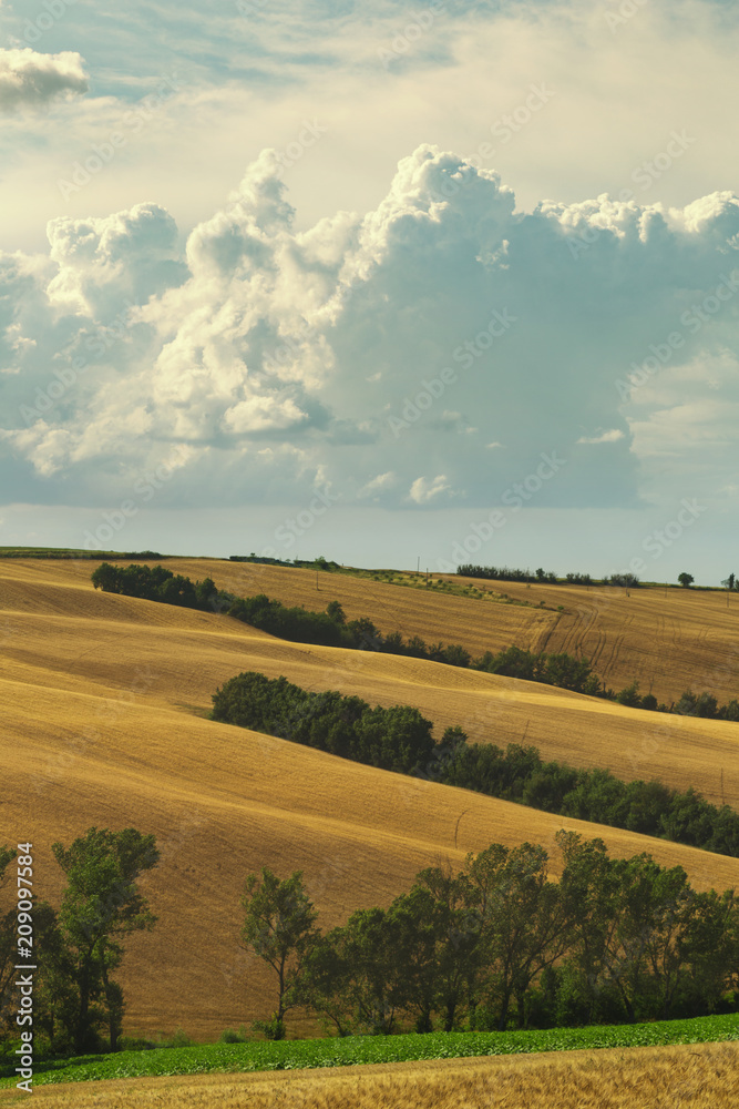 Fototapeta premium Countryside landscape, cultivated fields and cloudy sky