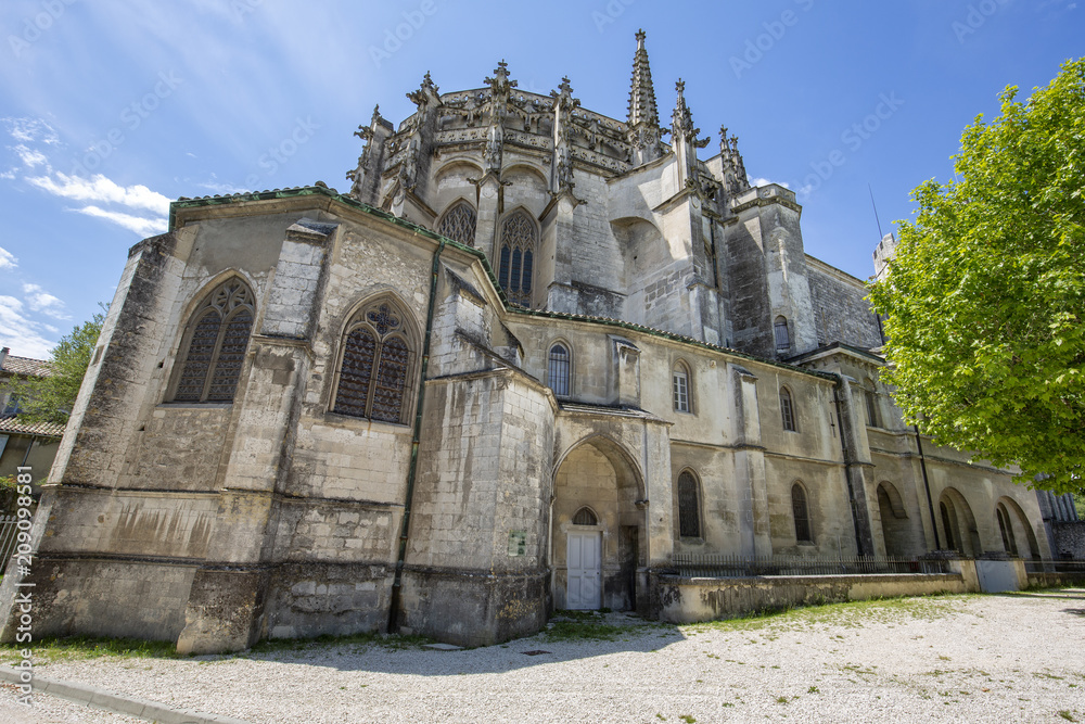 Fototapeta premium Der Dom Saint Vincent in Viviers, Frankreich