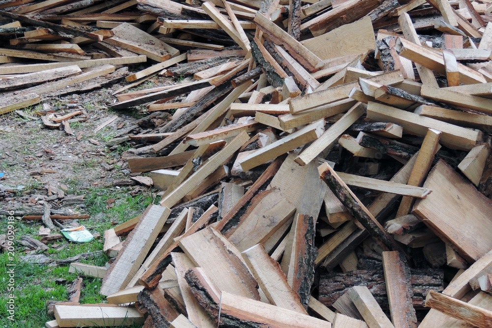 Harvesting firewood for the winter Harvesting firewood for the winter