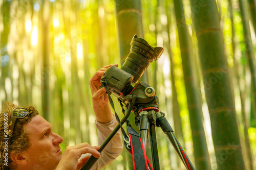 Nature photographer photographing giant bamboo forest at sunset in Take-dera forest, the popular tourist destination in Hokoku-ji temple of Kamakura town of Japan. Blurred background. photo