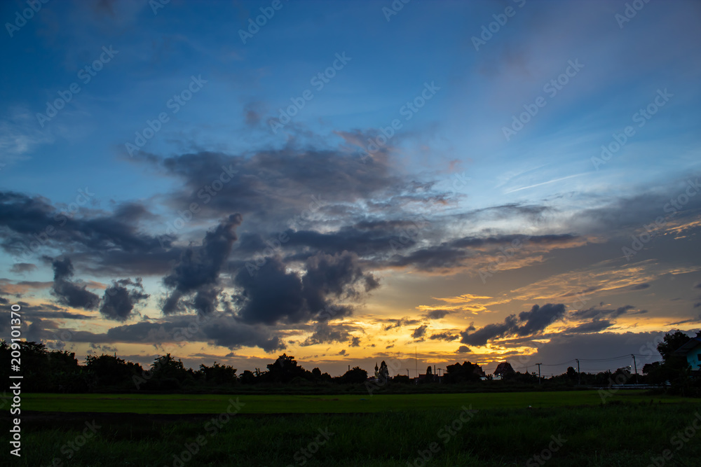 The sunset behind paddy fields and trees.