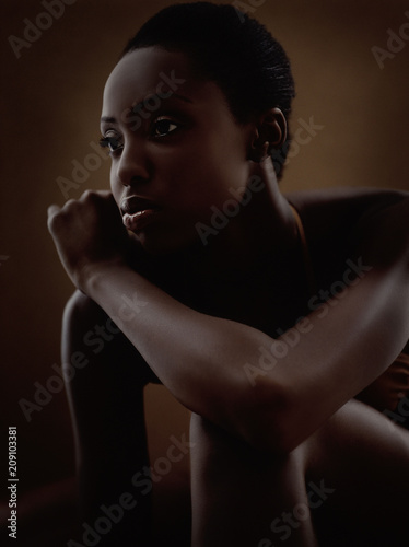 Model Beauty Stylish Makeup Portrait