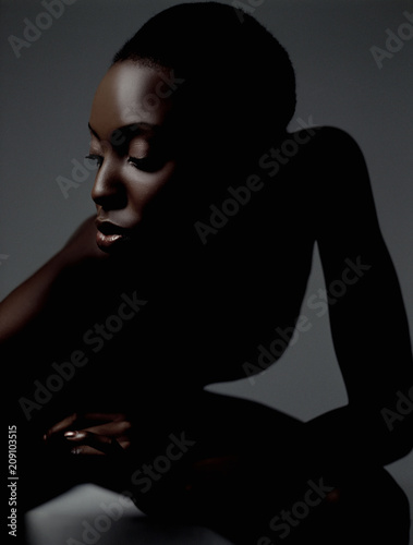 Model Beauty Stylish Makeup Portrait
