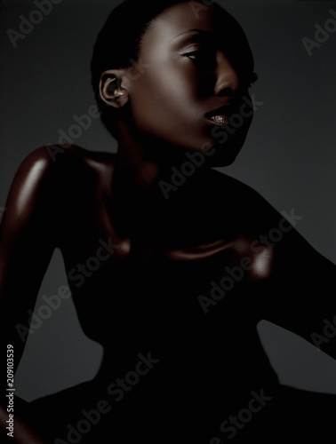 Model Beauty Stylish Makeup Portrait