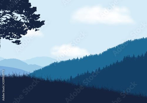 Mountain landscape with forest and hill with grass in foreground under blue sky with clouds