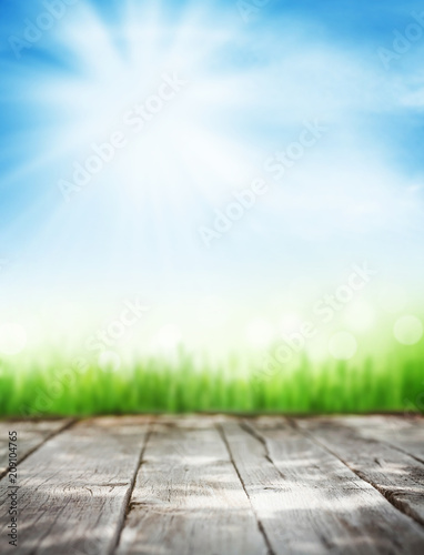 Fototapeta Naklejka Na Ścianę i Meble -  Abstract sunny summer background