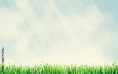 Abstract sunny spring background