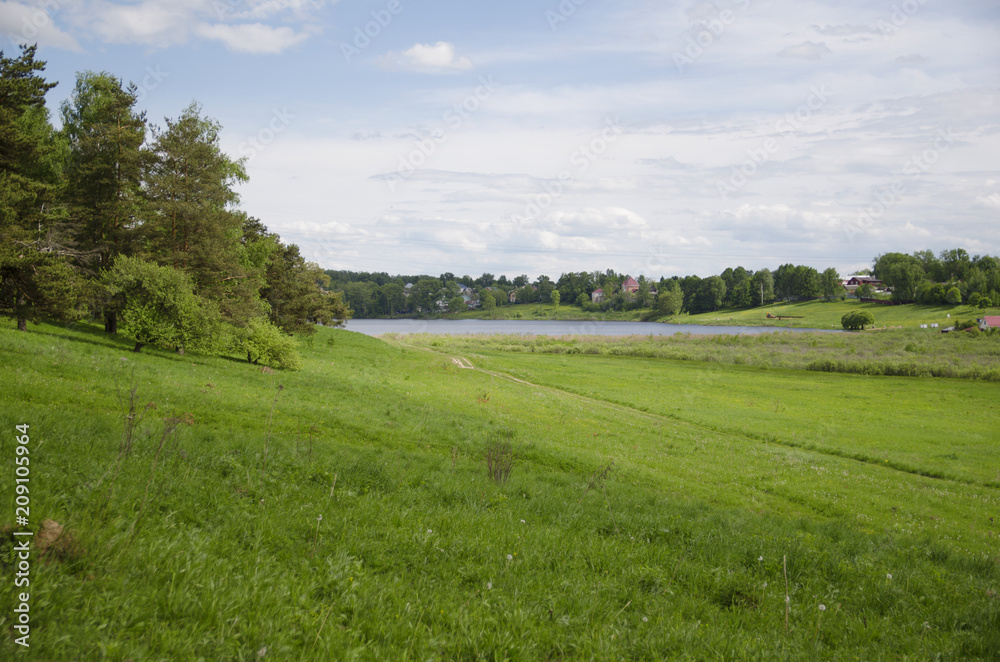 Obraz premium summer landscape