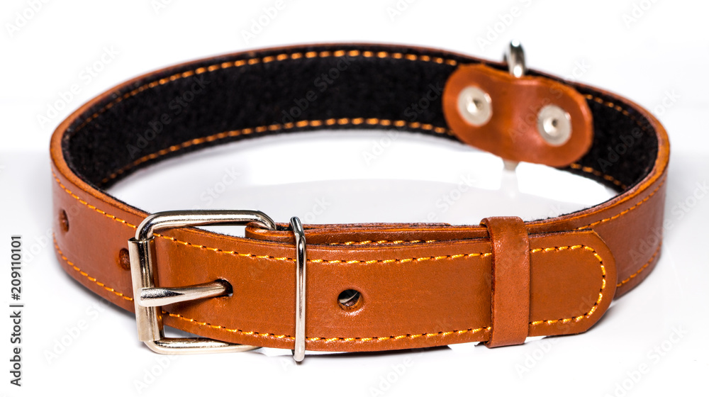 leather dog-collar isolated over the white background, side view
