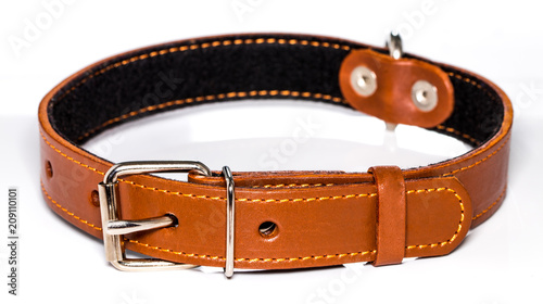 Fotografering leather dog-collar isolated over the white background, side view