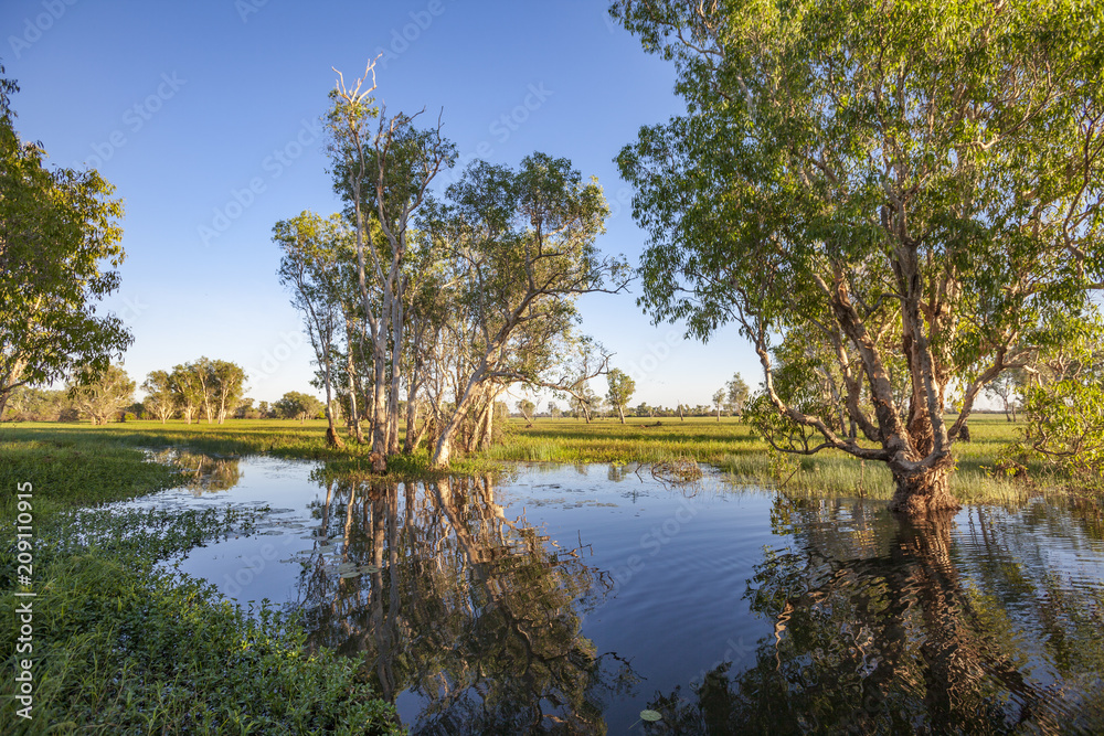 Peaceful landscape at sunrise in White water Billabong, Kakadu National Park, Northern Territory, Australia Peaceful landscape at sunrise in White water Billabong, Kakadu National Park, Northern Territory, Australia