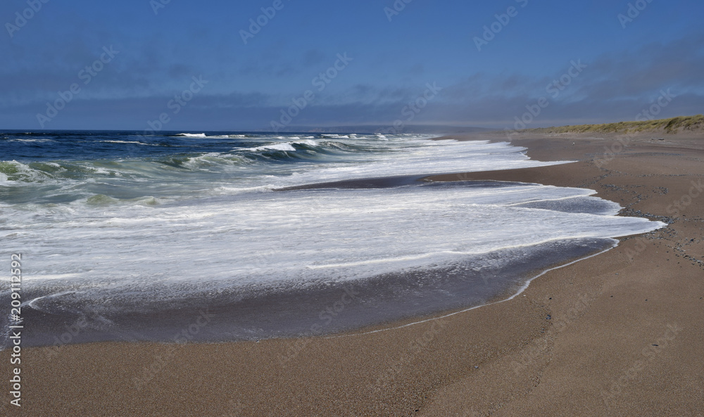 Pt. Reyes National Seashore and beach, N. California