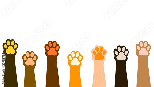 
Background of the traces of the paws. Nature and animals. 