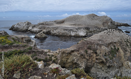 Pt. Lobos on N. California coast © CanyonOaksMedia