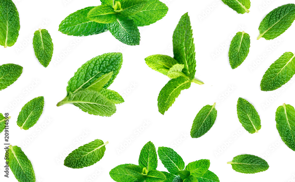 Fresh mint leaves pattern isolated on white background, top view. Close up of peppermint. - obrazy, fototapety, plakaty 