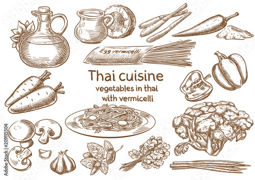 Thai cuisine. Vegetables in Thai with vermicelli ingredients vector sketch.