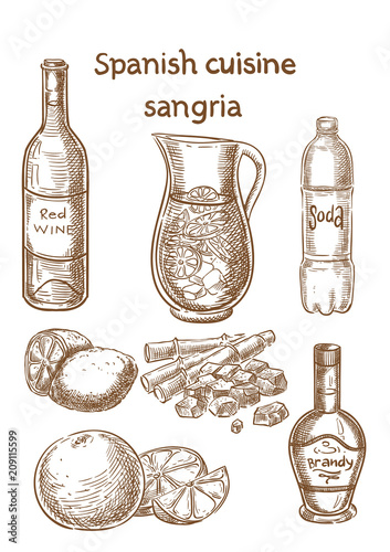 Spanish cuisine. Sangria ingredients vector sketch.