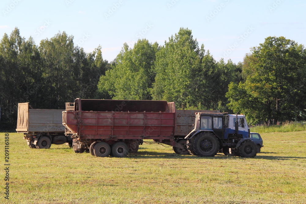 Obraz premium Agriculture, harvesting - blue tractor and trailer truck on the edge of the field waiting for loading in summer afternoon on the background of green forest