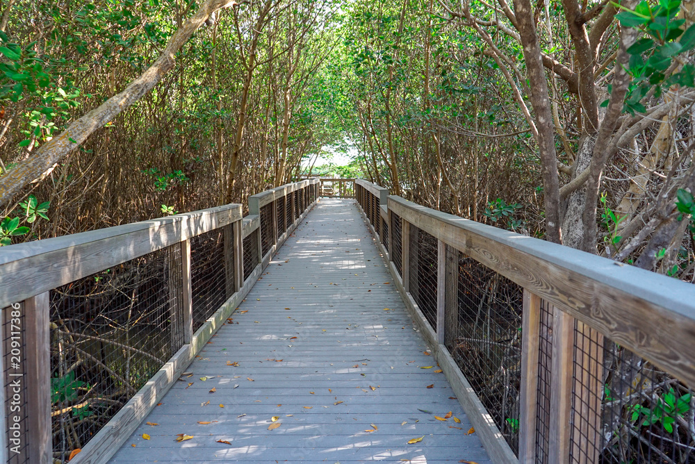 Calusa Shell Mound Trail at J. N. Calusa Shell Mound Trail at J. N.