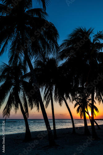 Evening on a beach in Playa Giron village, Cuba.