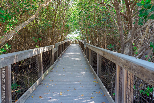 Calusa Shell Mound Trail at J. N. 