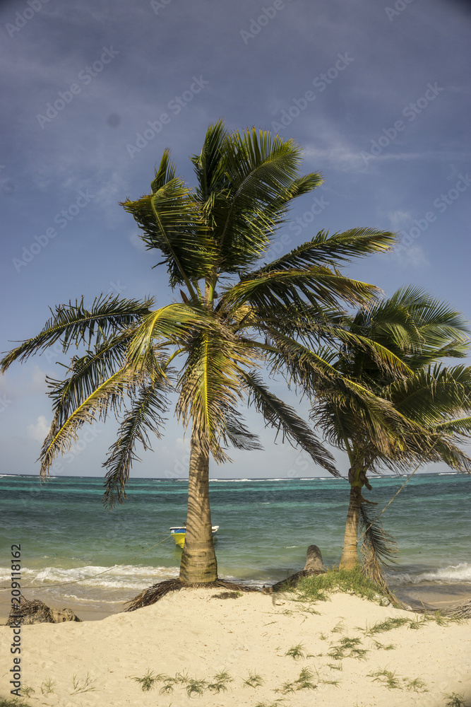 Fototapeta premium tropical beachfront