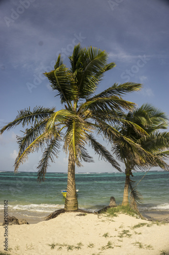 Fototapeta Naklejka Na Ścianę i Meble -  tropical beachfront