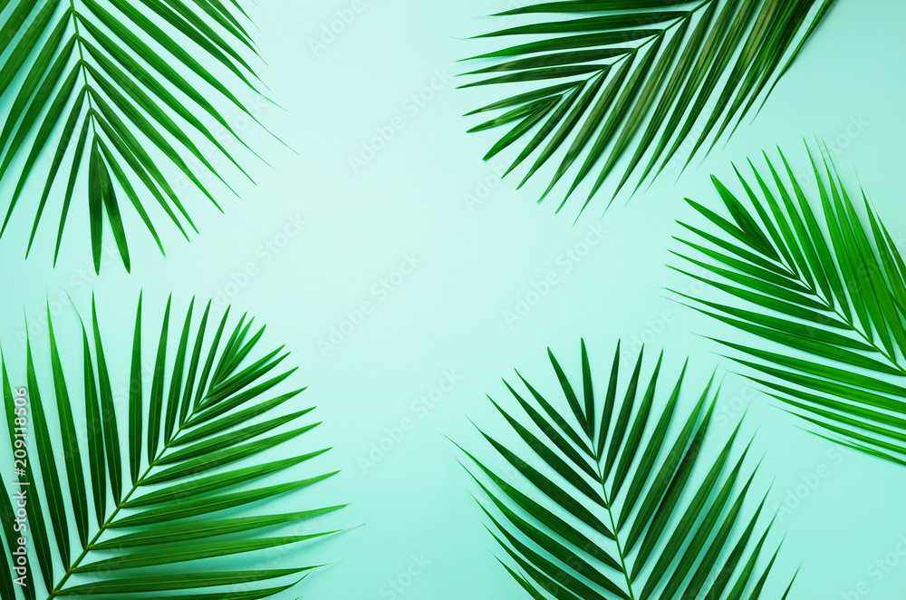 Tropical palm leaves on pastel blue background. Minimal summer concept. Creative flat lay with copy space. Top view green leaf on punchy pastel paper Tropical palm leaves on pastel blue background. Minimal summer concept. Creative flat lay with copy space. Top view green leaf on punchy pastel paper