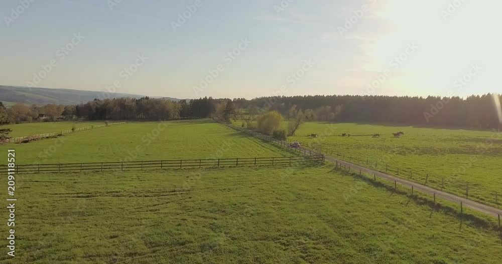 Amazing idyllic scenic aerial rural landscape with dirt road between green fields at sunset. Amazing idyllic scenic aerial rural landscape with dirt road between green fields at sunset.
