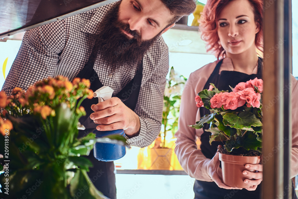 Two florists, beautiful redhead female and bearded male wearing uniforms working in flower shop.