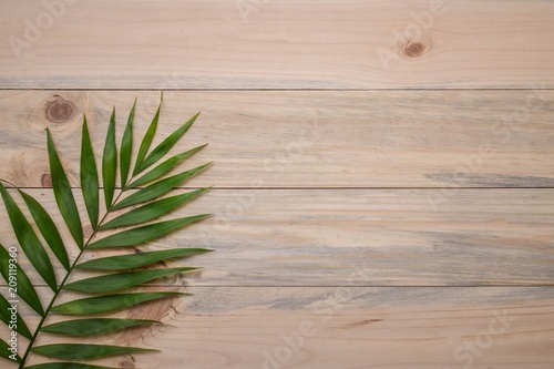 Palma leafs on light wood background with copy space