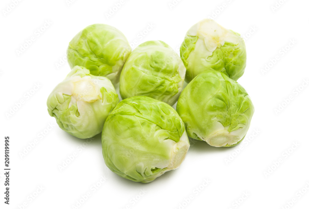 brussels sprouts isolated brussels sprouts isolated