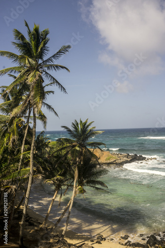 beachfront on tropical island © carles